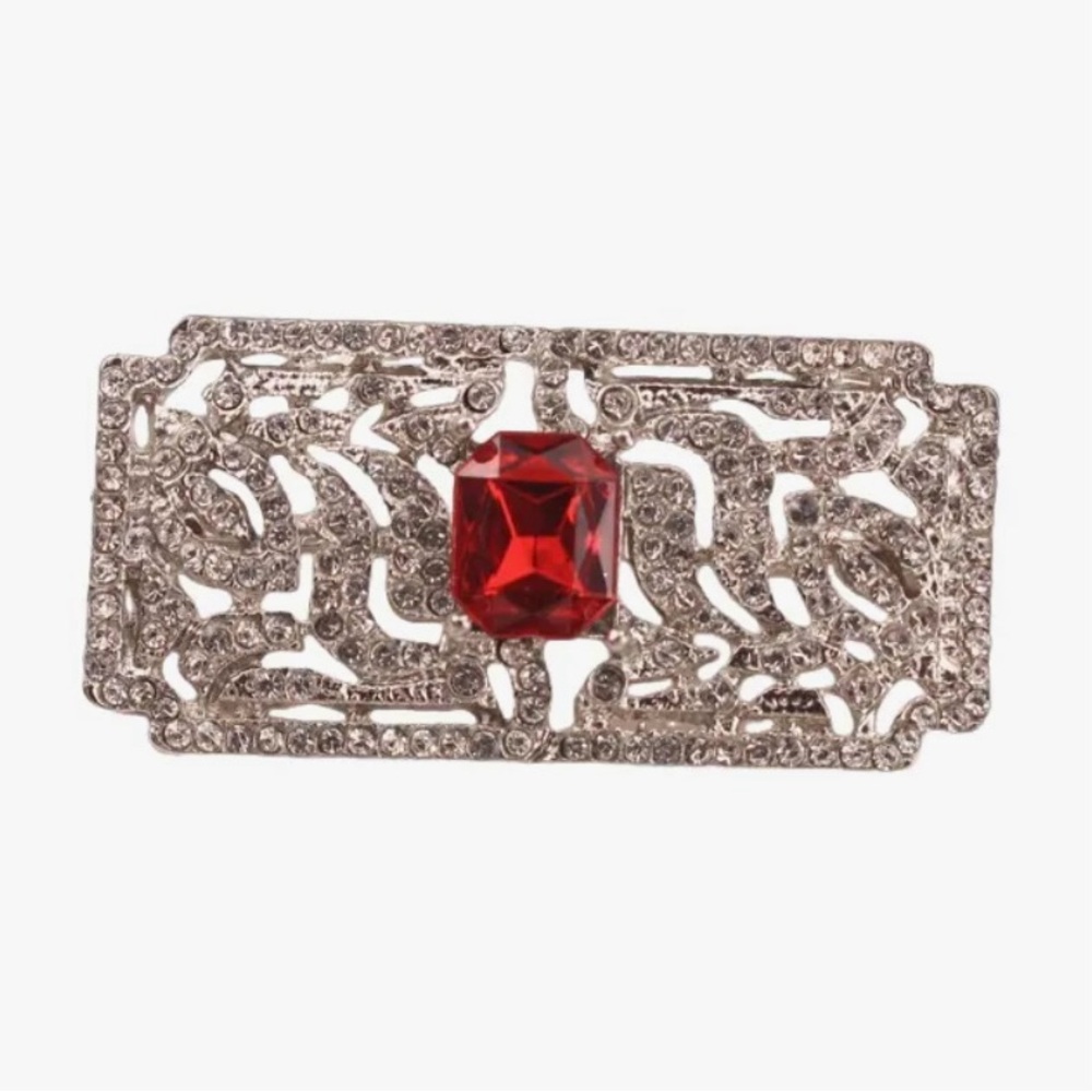 Elegant Silver and Red Gemstone Brooch